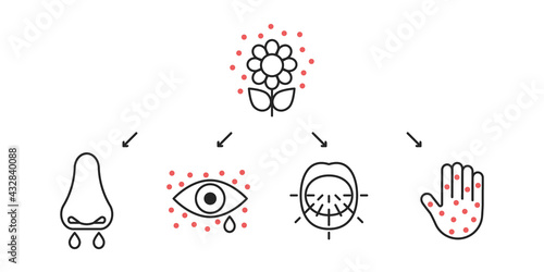 Allergy symptoms line icons, seasonal allergic. Inflammation of eyes, lacrimation, sneeze, blisters on skin, runny nose. Vector sign infographic illustration