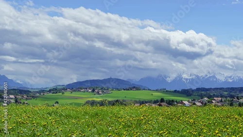 Time Lapse d'un paysage campagnard au printemps avec un champ de pissenlits au premier plan et au loin une antenne radio sur une colline devant les alpes suisses avec un ciel bleu et des nuages
