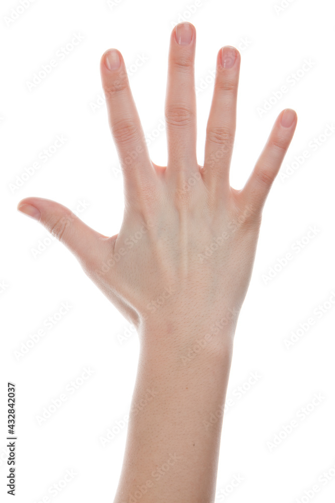 hand isolated on white background hand isolated on white background