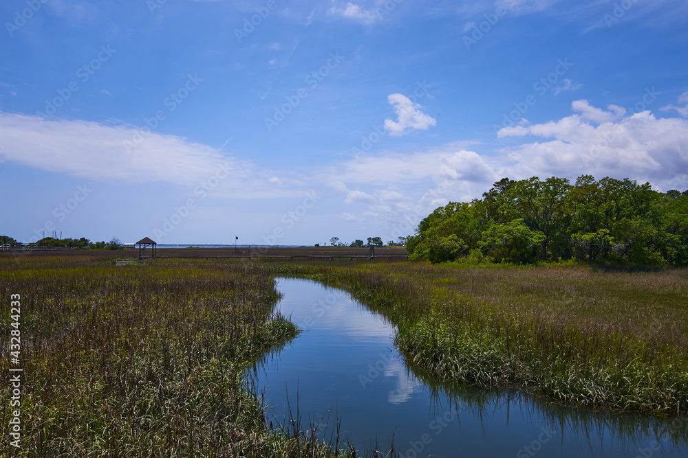 Low Country Marsh