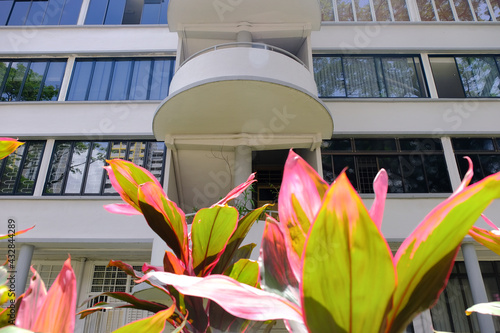 Common exterior view of old public housing with many windows in Tiong Bahru heartland estate. The art deco inspired architecture of old flats are very popular. Plants in foreground. Selective focus. photo