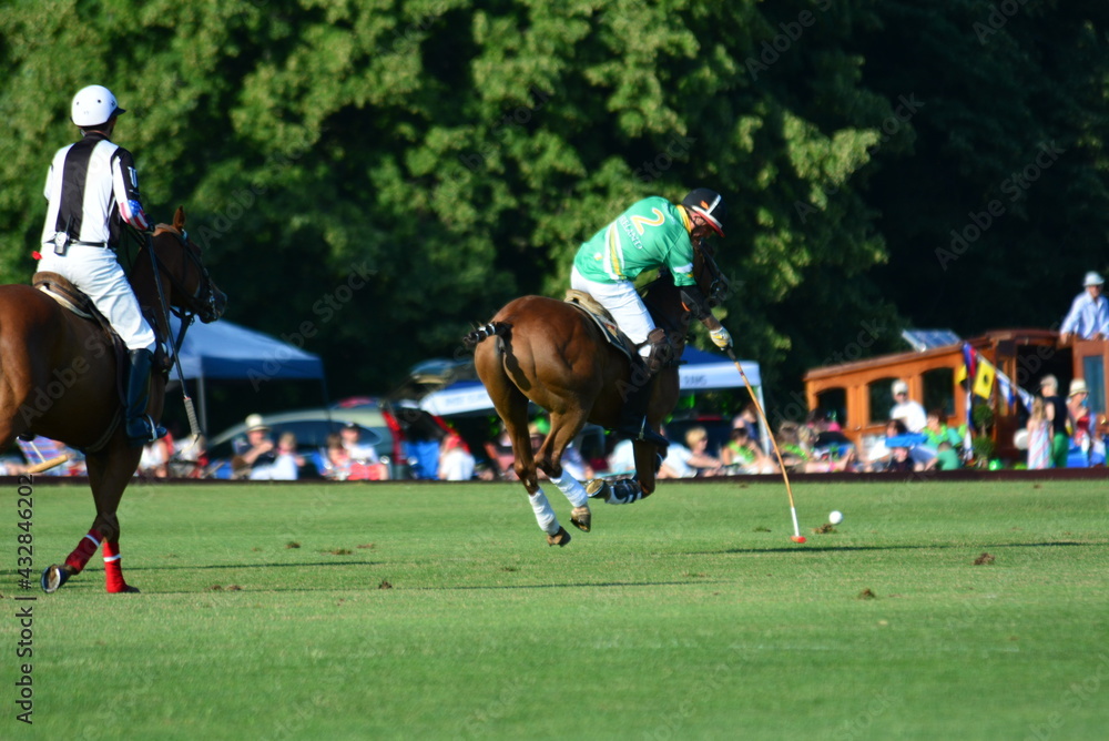 Newport Polo