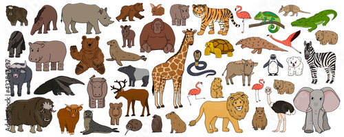 Set of cartoon isolated outline Savannah African American forest animals. Vector tiger lion rhinoceros buffalo zebra elephant giraffe crocodile tapir hippo bear orangutan penguin flamingo for children