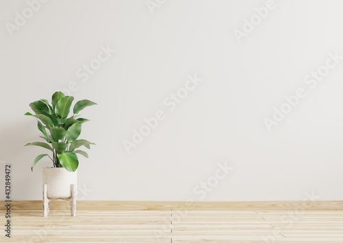 Empty room white walls with beautiful plants sideways on the floor.3d rendering.