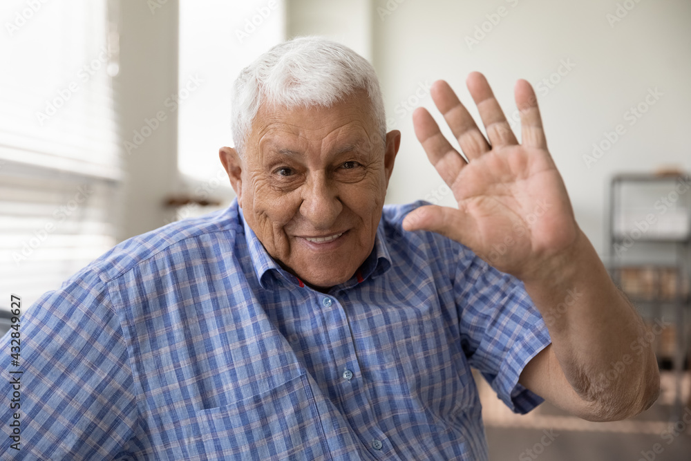 Hello. Headshot portrait of happy smiling grey haired elderly man pensioner looking at camera waving hand hi. Positive old grandfather making videocall greeting welcoming dialogue partner using webcam Hello. Headshot portrait of happy smiling grey haired elderly man pensioner looking at camera waving hand hi. Positive old grandfather making videocall greeting welcoming dialogue partner using webcam