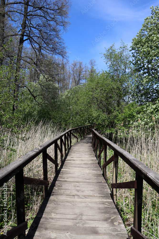 beautiful wooden path bridge in the spring forest in national park
