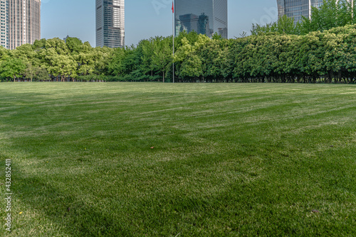 Lujiazui central park, green grass and modern skycrapers, for background.