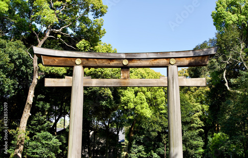 Canvas Print The torii gate with blue sky.