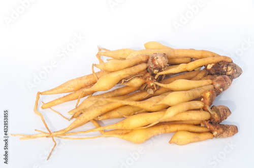 Top View finger root Isolated on white background
(Krachai) Thai herb 