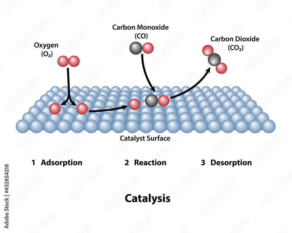 Surface catalyst with carbon monoxide and carbon dioxide. Catalysis of