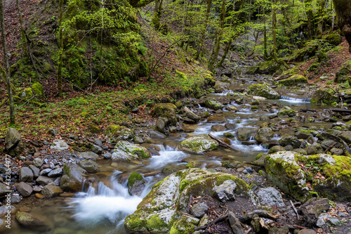 Zeleni vir stream with the rapids in the spring