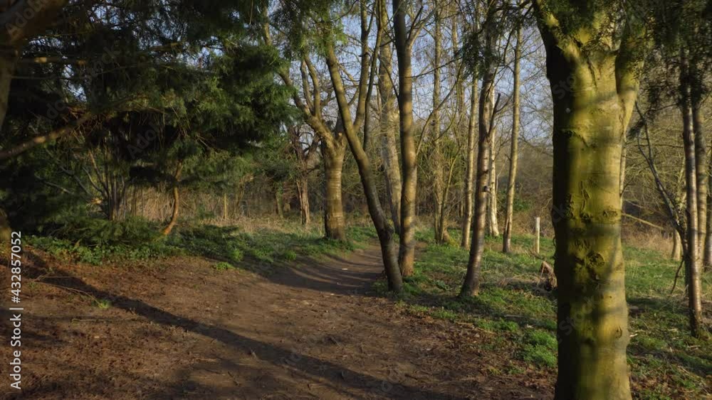 Tracking Shot Through a Woodland Area Footpath Tracking Shot Through a Woodland Area Footpath