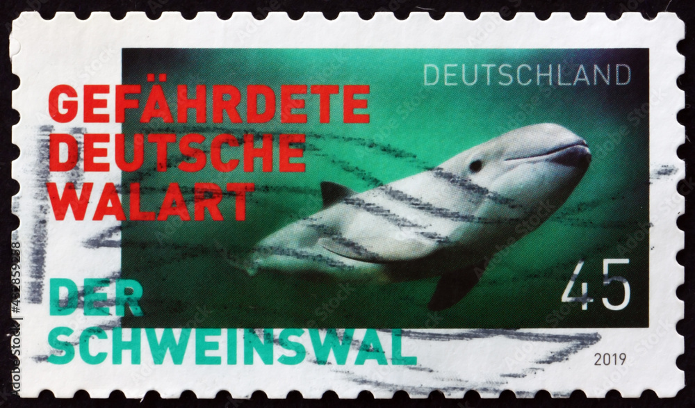 Obraz premium Postage stamp Germany 2019 harbour porpoise, marine mammal