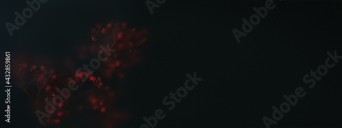 Bright red dry flowers on the foggy dark background