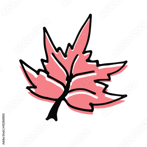 Single hand drawn maple leaf for autumn decoration. Doodle vector illustration. Isolated on white background 