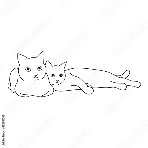 猫の全身イラスト　くっついている二匹の猫