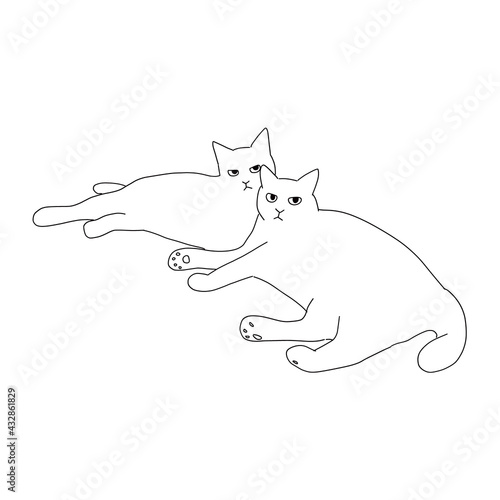 猫の全身イラスト　二匹の猫のイラスト