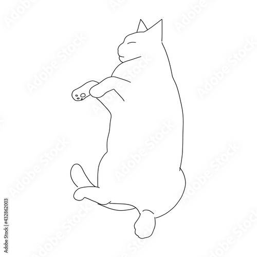 猫の全身ドローイング　仰向けに眠っている猫