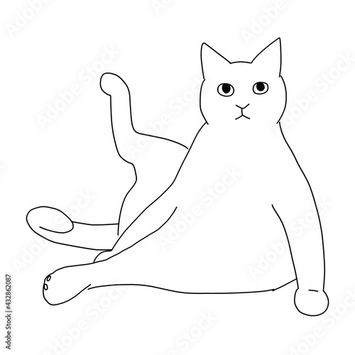 猫の全身ドローイング　ヨガポーズの猫