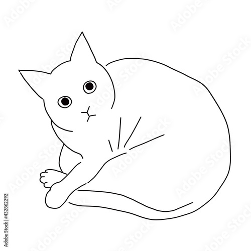 猫の全身イラスト　丸まっている猫