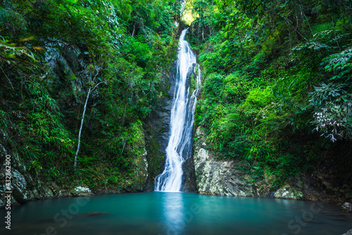 Waterfall in the tropical rainforest landscape