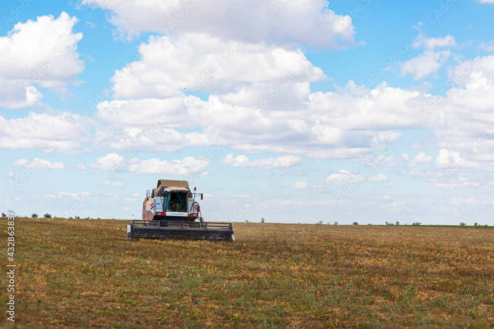 Fototapeta premium A large combine works in a wheat field