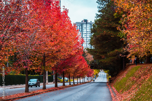 Fényképezés Fall in Curitiba, Paraná, Brazil