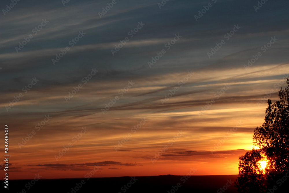 Sunset behind the silhouette of a tree with a brightly colored sky, from the Piedras LLanas viewpoint, in Riaza (Segovia).