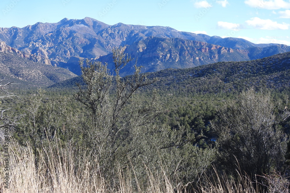 Chiricahua Mountain wilderness in the Coronado National Forest, southeastern Arizona.