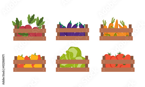 Wooden box of different vegetables set. Beet, eggplant, carrot, pepper, cabbage,tomato. Vector cartoon illustration
