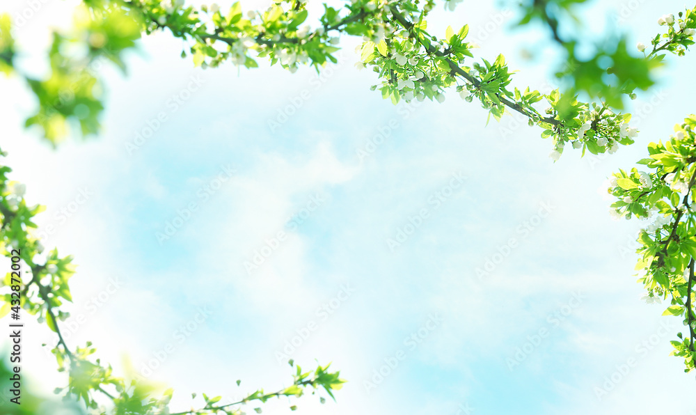 Blue sky floral frame.Spring backdrop. Natural decoration. Blue sky floral frame.Spring backdrop. Natural decoration.