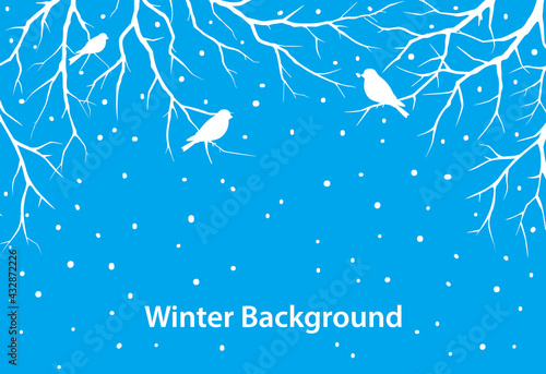 winter  background with tree branches and bullfinches birds