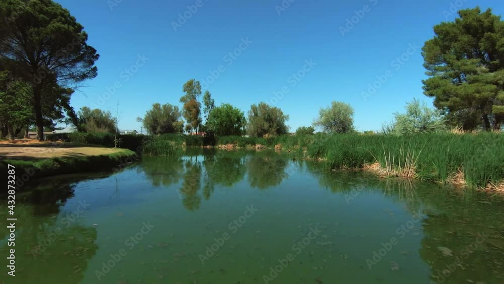 High speed, low altitude flight between trees to reveal a calm pond or oasis in the desert High speed, low altitude flight between trees to reveal a calm pond or oasis in the desert