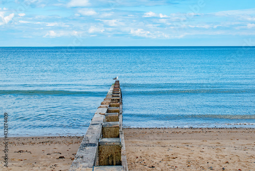 A minimalist image with a lone seagull on a weathered wooden groyne