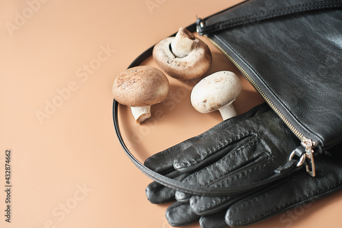 handbag and gloves made of mycelium leather, bio sustainable alternative to leather made of mushroom spores and plant fibres. mushroom textile innovative materials. eco bio-gradable vegan leather  photo