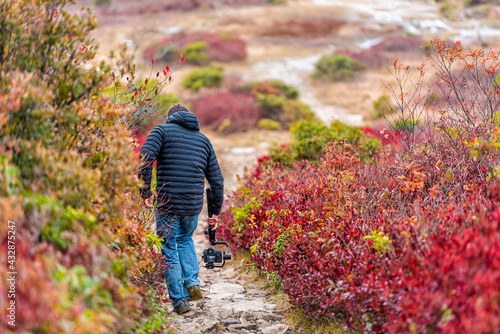 Fotografi Photographer with camera gimbal walking filming movie video in fall autumn Bear