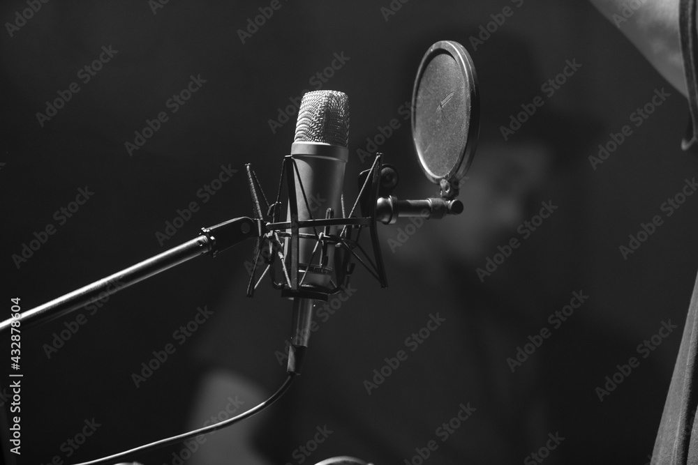 Professional microphone in the recording studio. - obrazy, fototapety, plakaty 