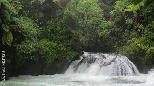 The Weir waterfall on the Kaituna river. A cormorant above the waterfall takes to the air just before going over the waterfall. photo