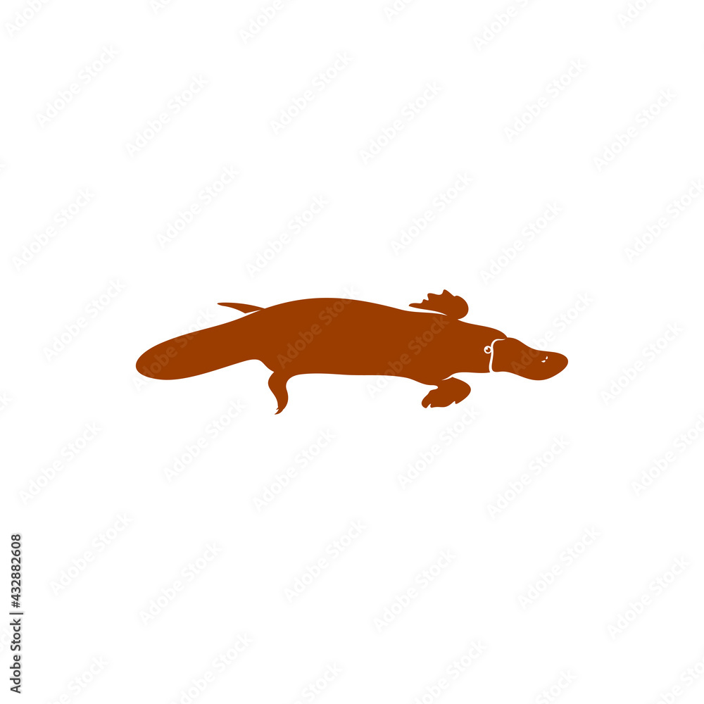 Fototapeta premium Platypus design vector illustration, Creative Platypus logo design concept template, symbols icons