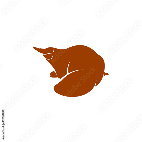 Platypus design vector illustration, Creative Platypus logo design concept template, symbols icons