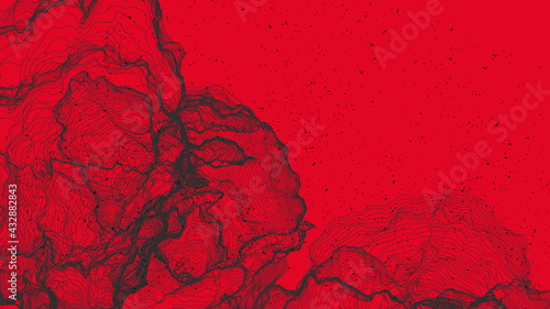 B21_1898