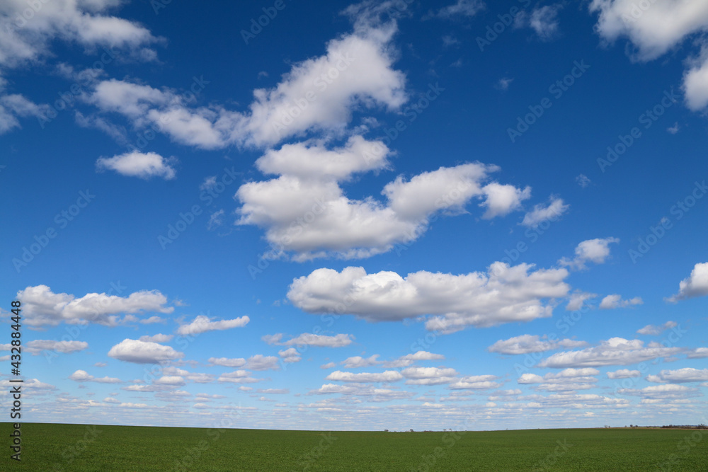 bright country farm green grass field with fluffy white clouds cloudscape as a landscape nature scene bright country farm green grass field with fluffy white clouds cloudscape as a landscape nature scene