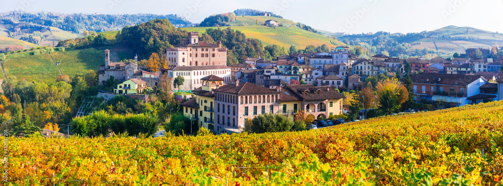 Castello di Barolo and village - famous vine region of Italy Piedmont (Piemonte). Vineyards scenic landscape
