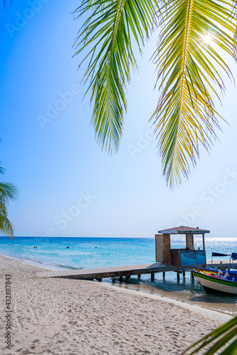 Vacaciones en la playa con cielo azul y palmeras