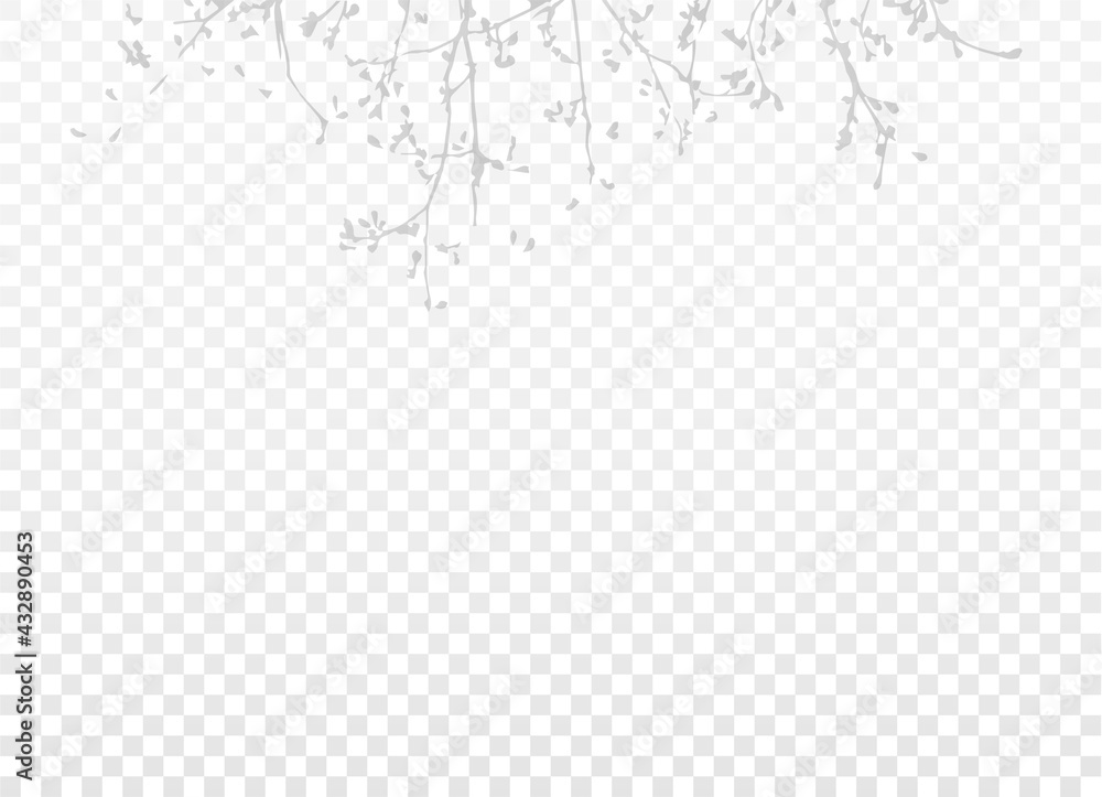 Twigs from a tree with leaves isolated on transparent background. Realistic Grey shadow with empty space. Design element. Vector EPS10.