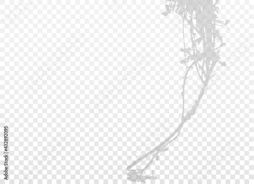 Twisty plant, tree branches or root isolated on transparent background. Grey silhouette with empty space. Design element. EPS10. 