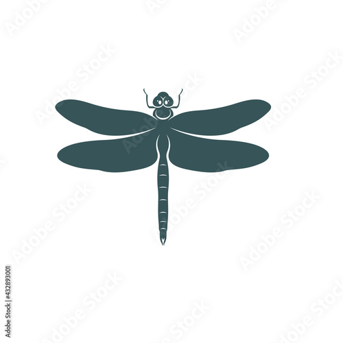 Dragonfly design vector illustration, Creative Dragonfly logo design concept template, symbols icons