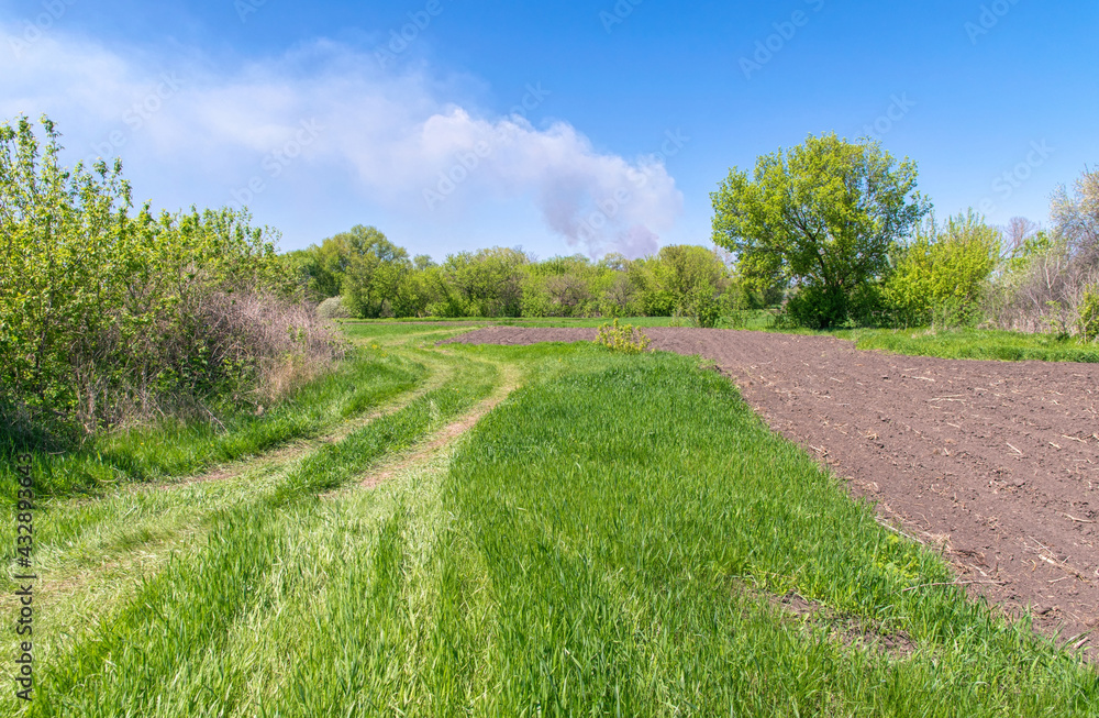 Spring rural landscape. Dirt road among plowed fields Spring rural landscape. Dirt road among plowed fields