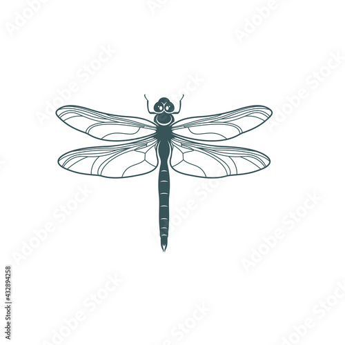 Dragonfly design vector illustration, Creative Dragonfly logo design concept template, symbols icons