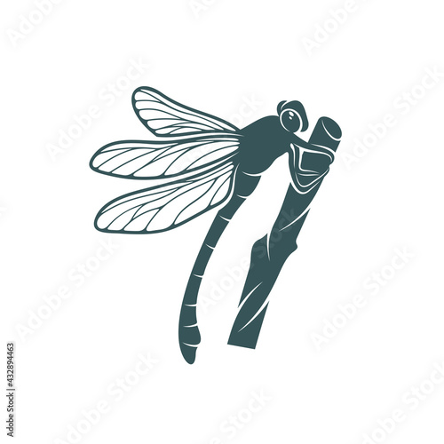 Dragonfly design vector illustration, Creative Dragonfly logo design concept template, symbols icons photo